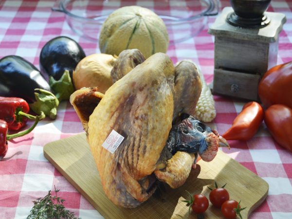 Pintade PAC / 1.700 KG